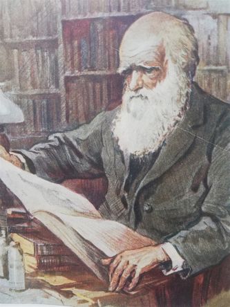 Charles Darwin en zijn waanzinnige evolutie theorie.
Tekening uit een Sovjet Unie tijdschrift , het jaar 1956.